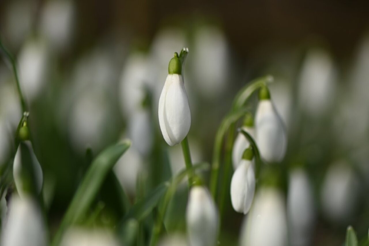 Yoga Frühling mit Myriam Schnepf